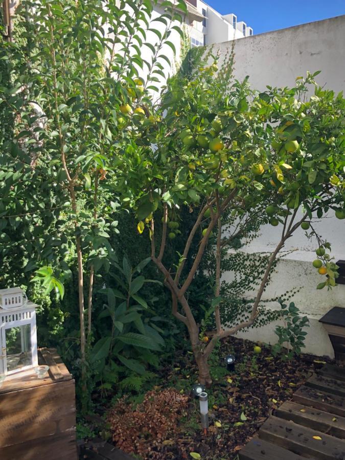 Garden Apartment Lisboa Eksteriør bilde